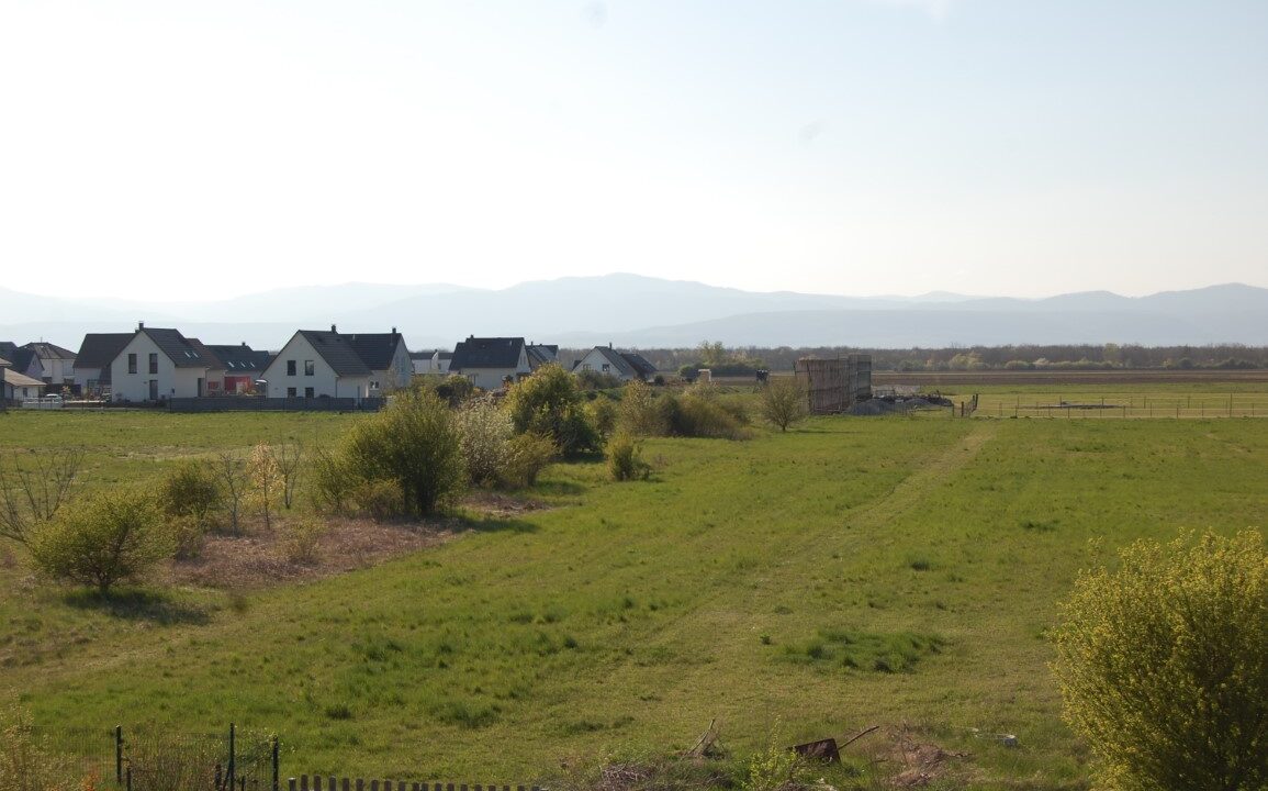 DSC_5693 (Moyen)