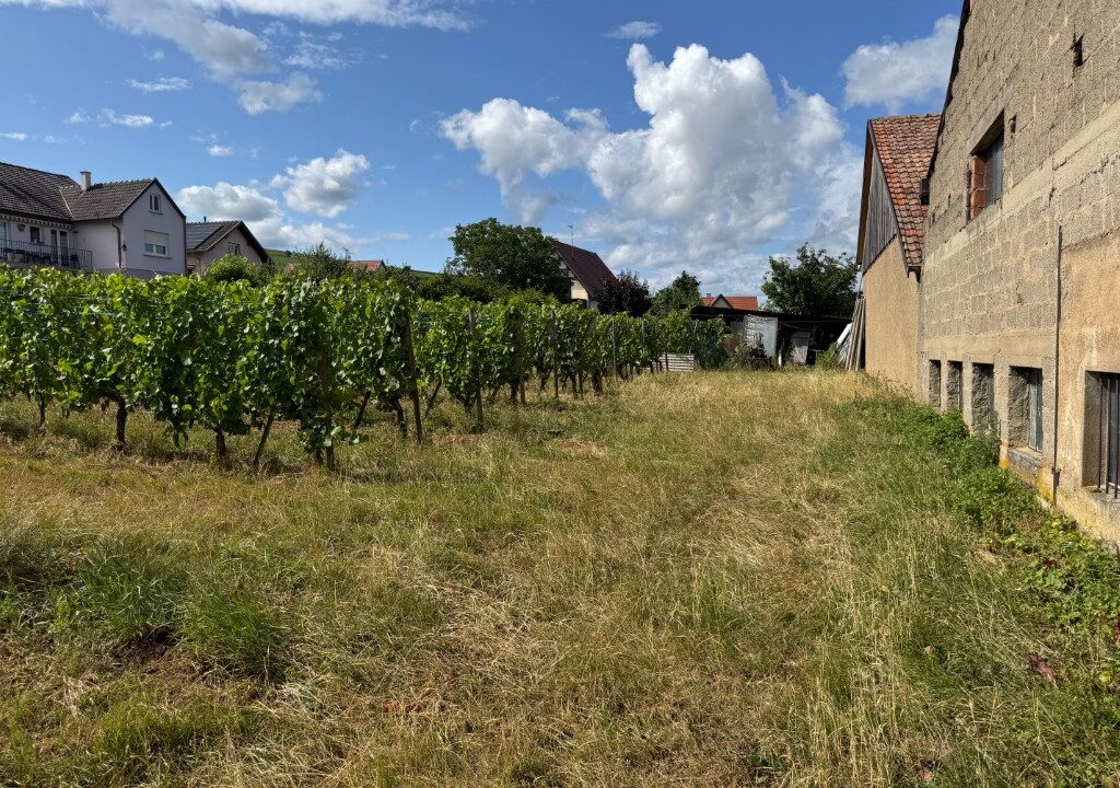 IMG_4888 (Moyen)