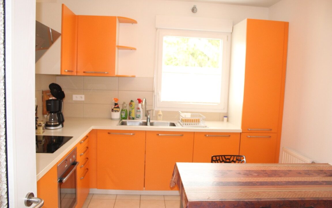 IMG_1587 (Moyen) - Copie