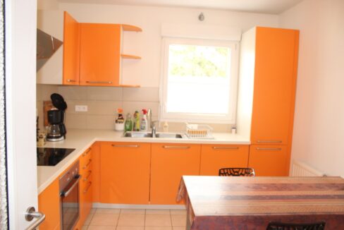 IMG_1587 (Moyen) - Copie