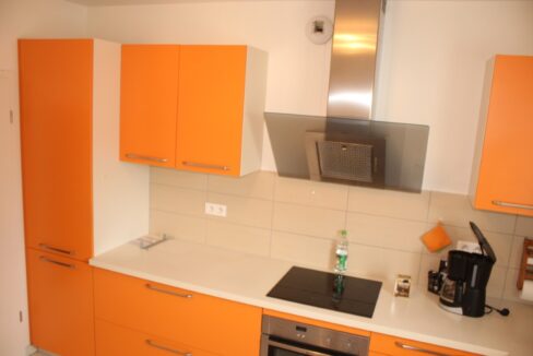 IMG_1590 (Moyen) - Copie