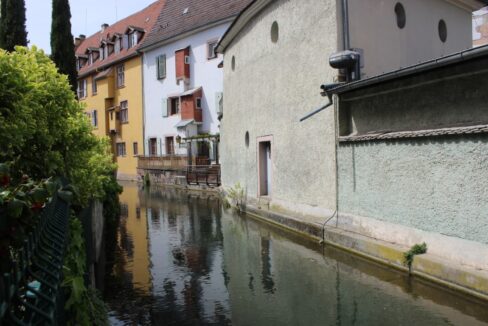 IMG_1830 (Moyen)
