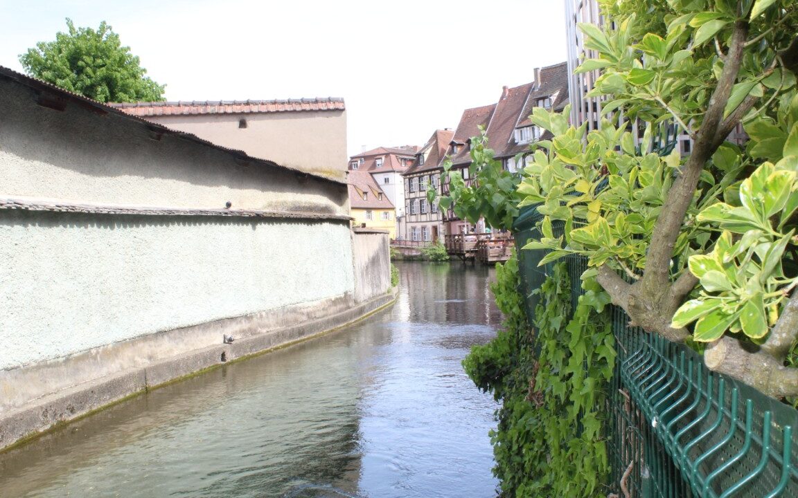 IMG_1832 (Moyen)