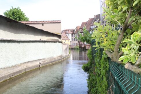 IMG_1832 (Moyen)