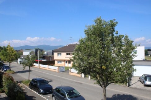 IMG_1953 (Moyen)