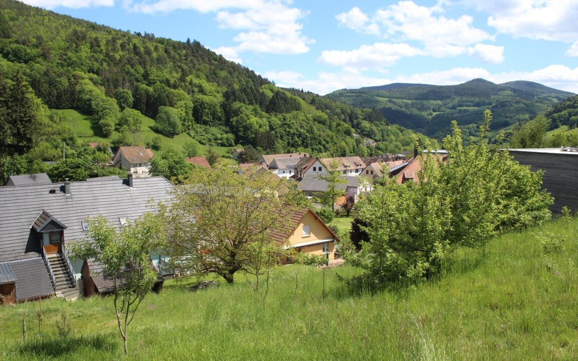 IMG_2001 (Moyen)
