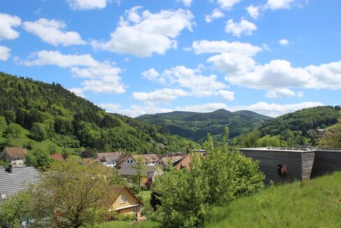 IMG_2004 (Moyen)