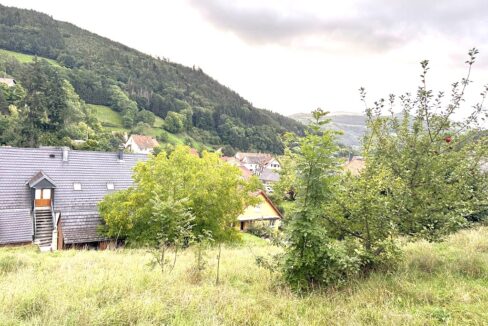 IMG_5353 (Moyen)