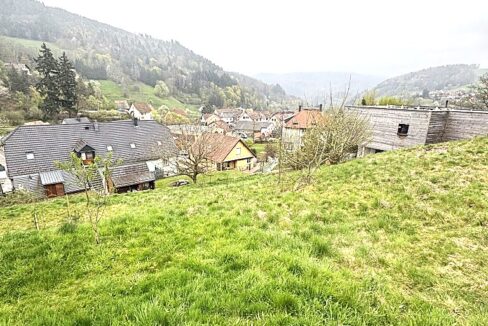 IMG_7542 (Moyen)