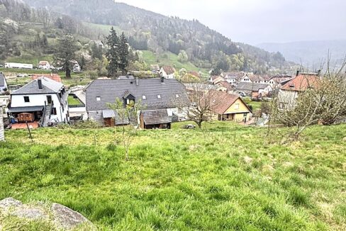 IMG_7543 (Moyen)