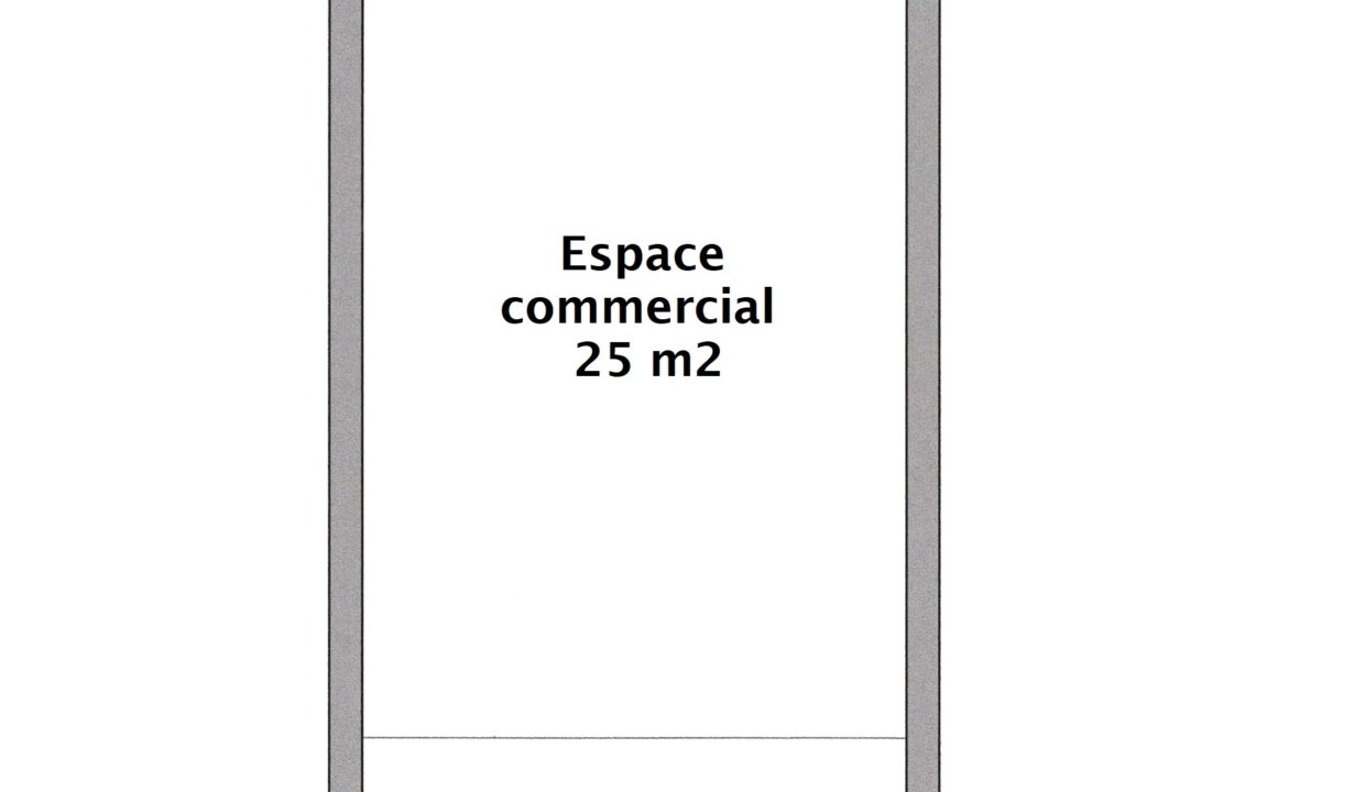 Plan 1er étage