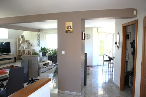 IMG_2084 (Moyen)