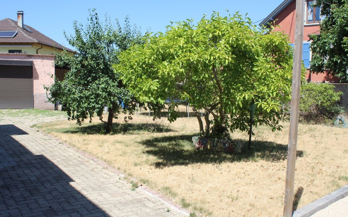 IMG_2130 (Moyen)