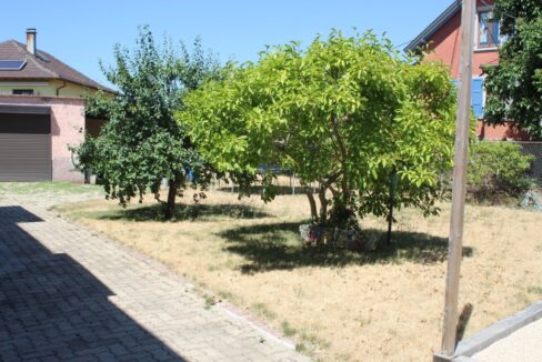 IMG_2130 (Moyen)