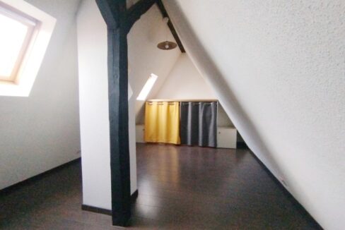IMG_20261001_094430 (Moyen)