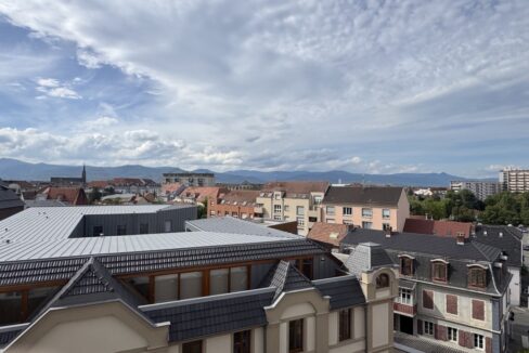 IMG_8979 (Moyen)
