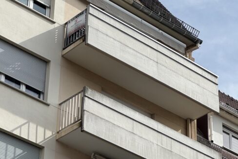 IMG_8981 (Moyen)