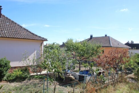 IMG_2297 (Moyen)